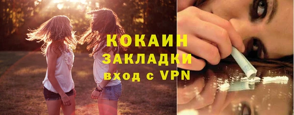 прущие грибы Нея
