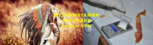 прущие грибы Нефтегорск