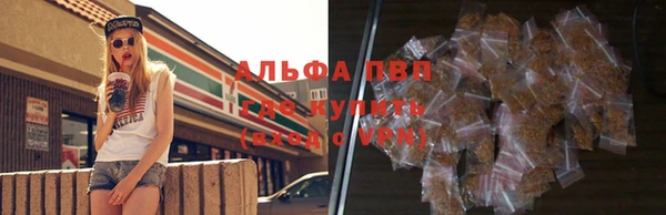 прущие грибы Нефтегорск