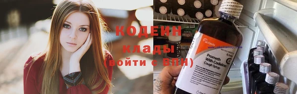 прущие грибы Нея