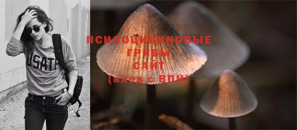 прущие грибы Нея