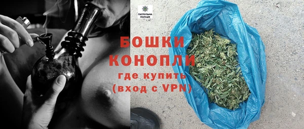 прущие грибы Нефтегорск
